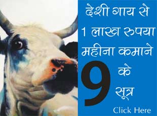 देशी गाय से 1 लाख रुपया महीना कमाने के 9 सूत्र