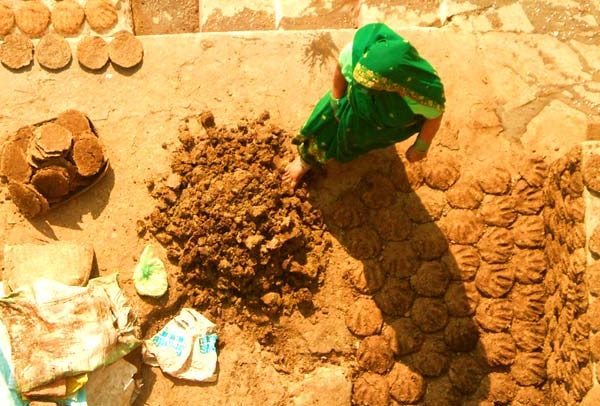 गौमाता के गोबर से घर बैठे मासिक 15000 कमाने का सुनहरा अवसर